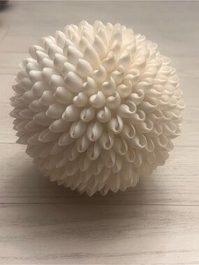 Decorative White 5” Bright White Seashell Orb Beach Coastal Decor